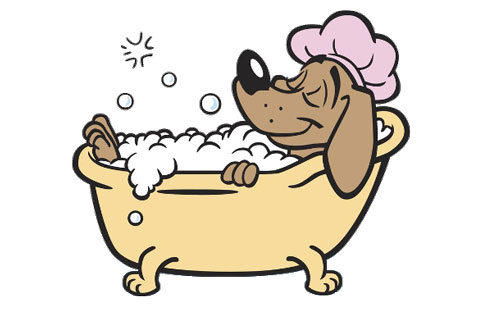Muddy Puppy Dog Grooming